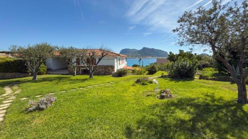 Talana Apartment | Sapore di sale