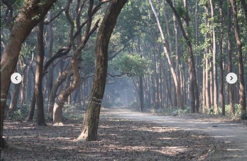 Puranpur House | Sapt Sarovar Homestay