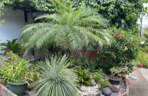 Basse-Terre House | Sarithea