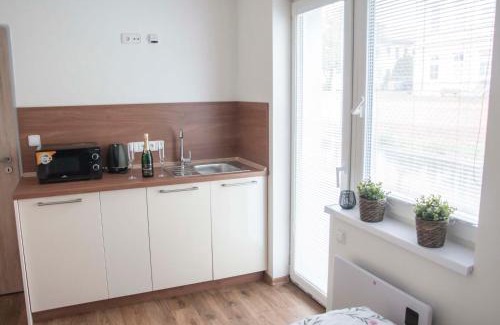 Vitkov House | Sauna 32