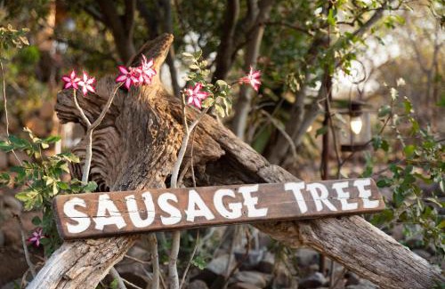Maruleng Cabin | Sausage Tree Safari Camp