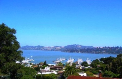 Sausalito House | Sausalito Butterfly House: Bay Views/Quiet/Walk to Town & Ferry