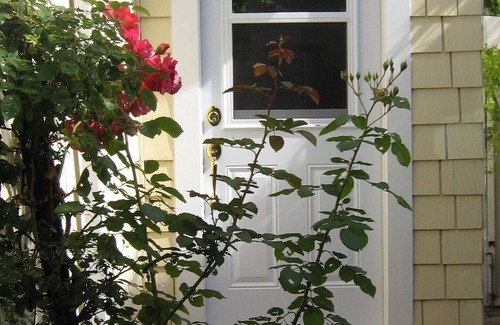 Sausalito House | Sausalito Executive Guest Unit