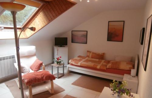 Ostfildern Apartment | schöne Wohnung nahe Messe Stuttgart und Flughafen für 1-3 Businessgäste