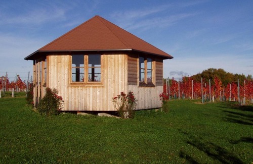 St. Peter am Ottersbach Apartment | Scheurebe - Gästezimmer Christine Reichmann-röck