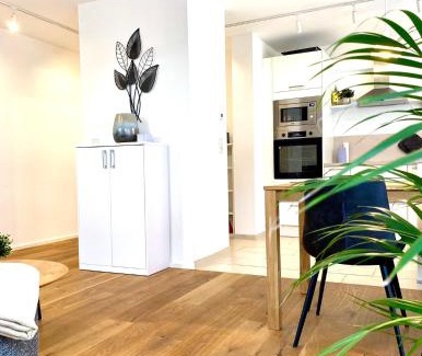 Mainz-Bingen Apartment | Schickes Loft zentral in Eltville mit kostenlosem Parkplatz