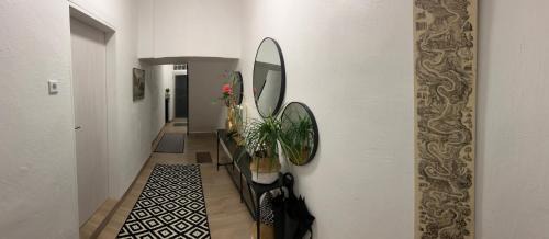 Kues Apartment | Schifferhaus