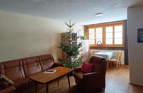 Rudenberg Apartment | Schwarzwaldblick