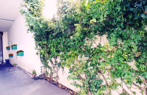 Scillichenti Hotel | Sciddicu Room