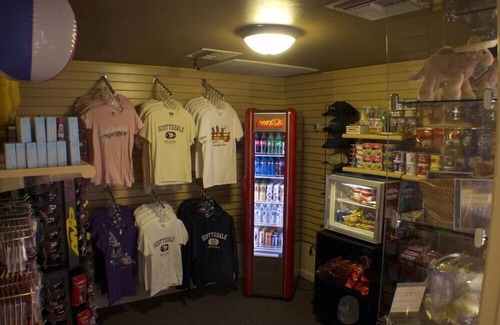 Arcadia Condo | Scottsdale Inviting 2BR Condo with Outdoor Swimming Pool