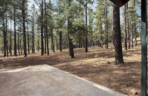 Greer Cabin | “Scout’s House” cabin on 2 acres