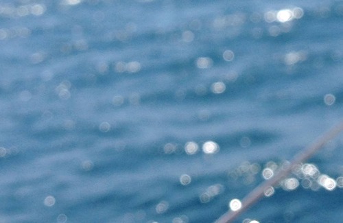 Naples City Centre Boat Rental | Scugnizzi Home in Naples