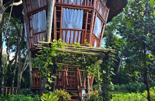 Cavinti Other | Señor Magallanes Farm and Resort