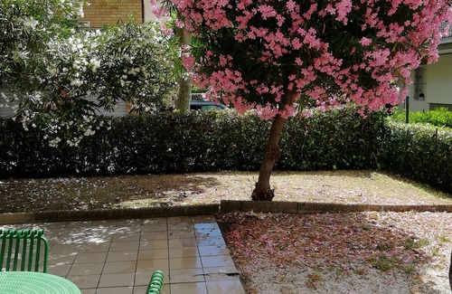 Casabianca di Fermo Apartment | Sea mini apartment - Lido di Fermo Casabianca