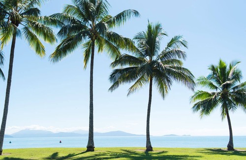 Port Douglas Resort | Sea Temple Port Douglas 2 Bedroom Penthouse - Free Wi Fi - Netflix - Wine