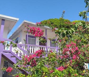 Little Corn Island Hotel | Sea View