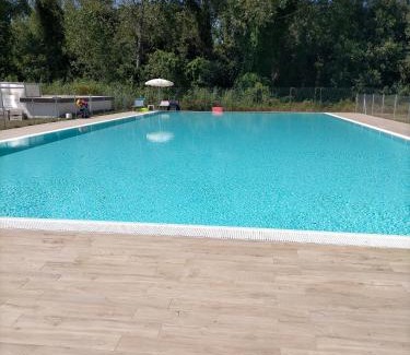 Calambrone Apartment | Seaside Apartment with swimming pool and parking