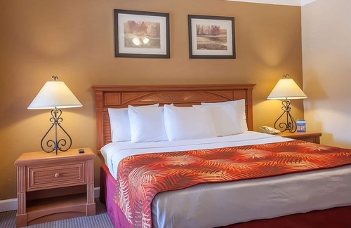Palm Coast Hotel | Seaside Getaway! Two Stylish Accommodations with Pool Access!