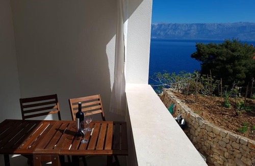 Gdinj Apartment | Seaview studio apartment for perfect vacation!