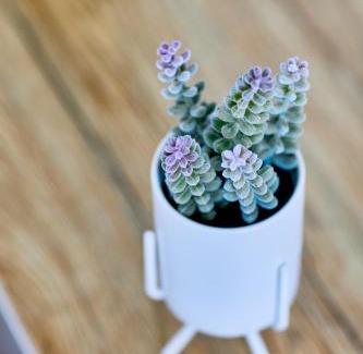 Libreville Apartment | Seawind Sablière 10min from airport