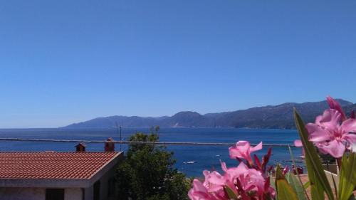 Cala Gonone Apartment | Sebastian House