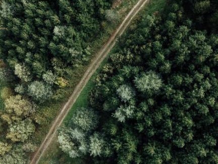 Hiawatha House | Secluded Off-Grid Cabin Deep in Nature - Hiawatha - Saro