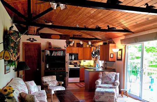 North Pole Cabin | Secluded & quiet, close to town. Stone fireplace inside & a firepit out back