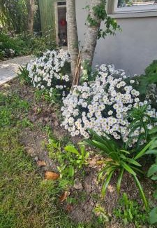 Kilmore House | Secret Garden