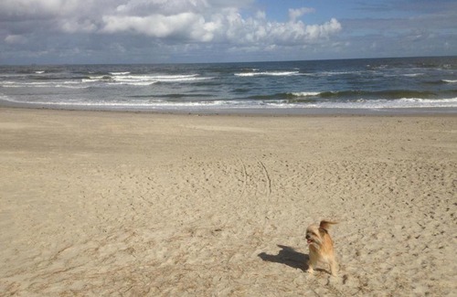 Wangerooge Apartment | Seehund