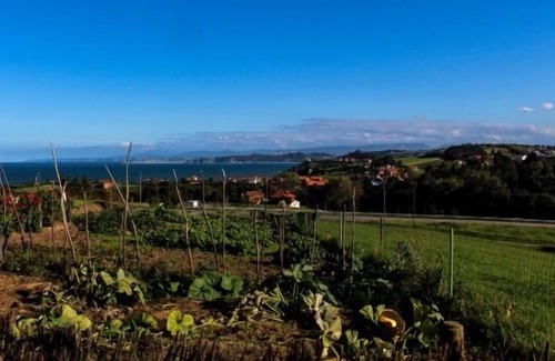 Condres Cottage | Self catering Alto el Monte for 4 people