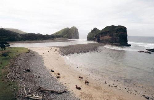 Mdumbi Apartment | Self-catering Furnished Holiday Cottage to rent Coffee Bay