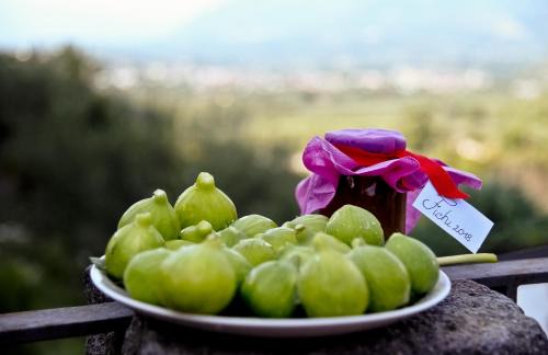 Sant'Agata de'Goti Apartment | Sentieri Luminosi
