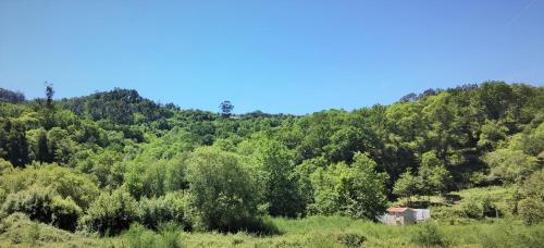 Bico House | Serene Cottage Retreat