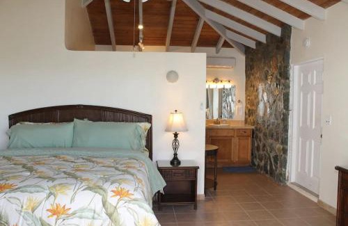 Estate Bethany Villa | Serene Cruz Bay Villa Sep Mstr Kg Suite Stunning Sunsets