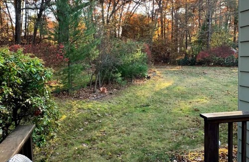 Sudbury House | Serene Home Nestled in Nature