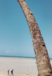 Bamburi Apartment | Serene Luxury Seaview Homestay Nyali Msa
