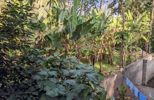 Arusha Bed & Breakfast | Serene retreat experience