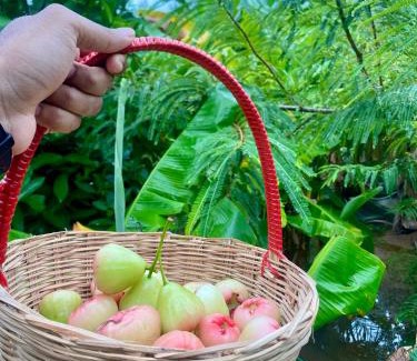 Kalpakkam Villa | Serenity Farms (Haripriya Garden)