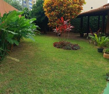 Piata House | SerLuz