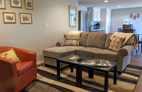 Dundee House | Seventh Haven - Modern, Pet-Friendly, Retreat in the Heart of Dundee