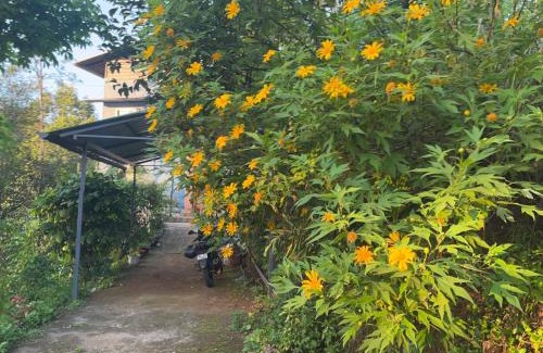 Vayittiri Cabin | Severn Valley Jungle Villa