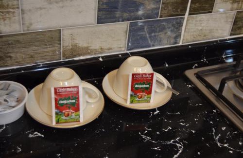 Altınordu Apartment | Sezgin Kargı Günübirlik Evler