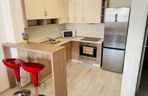 Trencin Apartment | SGL apartment Liptovska with free parking