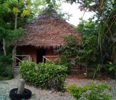 Nungwi Hotel | SHADRACK BackPackers