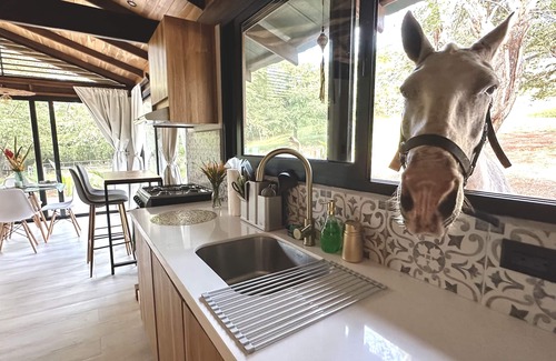 Los Pargos House | Shambalah Deluxe Suite W/pool in Renovated Stable