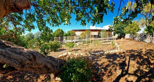 Ragusa House | Shangrila EcoFarm