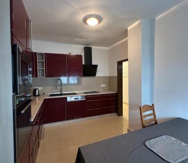 Ruesselsheim Apartment | Shekinah Residences near Frankfurt Airport