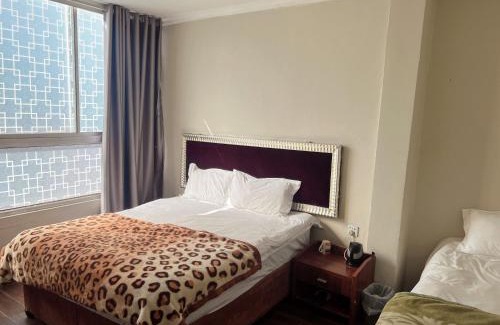 Greater Johannesburg Metropolitan Area Hotel | Shengtang Business Hotel