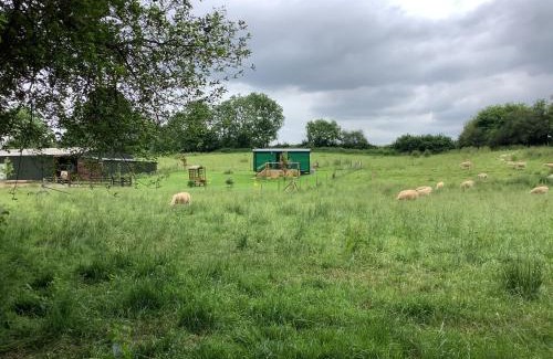 Westcott House | Shepherds Hut (Benny's)