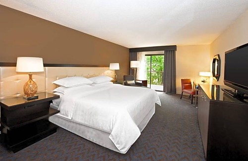 Minnetonka Hotel | Sheraton Minneapolis West Hotel